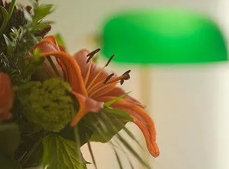 祖姆格尔登欧森林酒店 酒店
