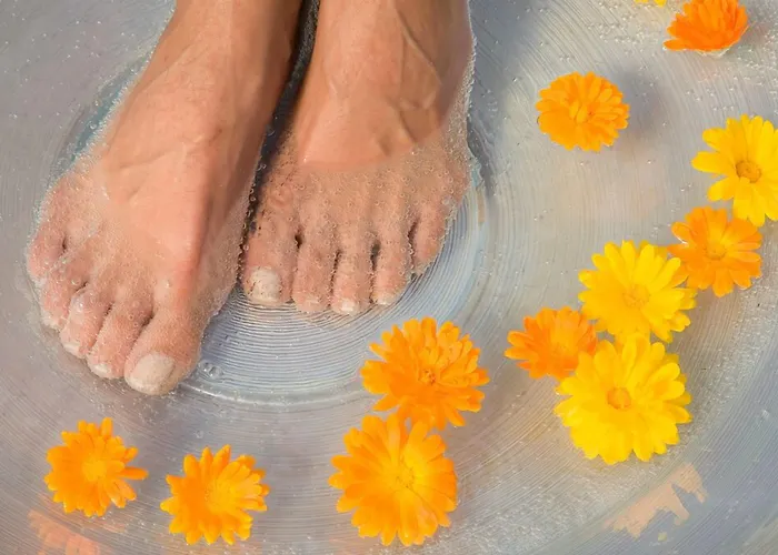 Hotel Ringhotel Zum Goldenen Ochsen