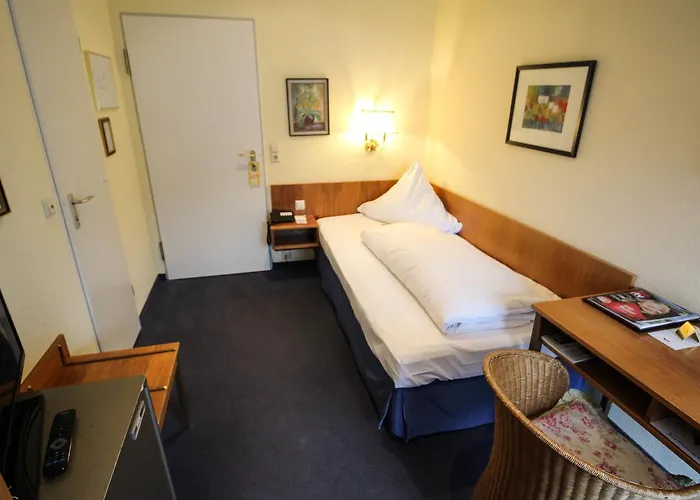 Ringhotel Zum Goldenen Ochsen Hotel 4*