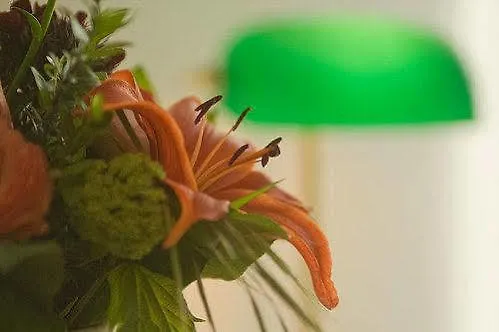 Ringhotel Zum Goldenen Ochsen Hotel